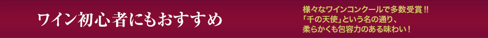 ワイン初心者にもおすすめ